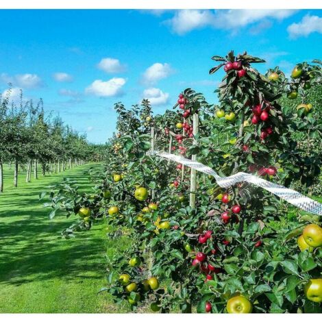 KERANEET 4.8cm*80m Anti Pigeons Pour Balcon Repulsif Pigeon Repulsif Oiseaux Exterieur Effaroucheur Oiseaux Exterieur Anti Pigeon Effaroucheur D'oiseaux Double Face Pour Jardins Vergers