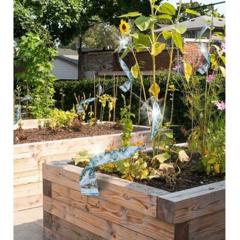 Ruban Répulsif Oiseaux Réfléchissant 153m X 2.4cm | Protection Verger & Jardin | Méthode Physique Écologique