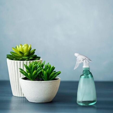 2 Vaporisateurs 500ml Vide | Bouteille Spray Réutilisable | Pour Plantes, Nettoyage, Soins