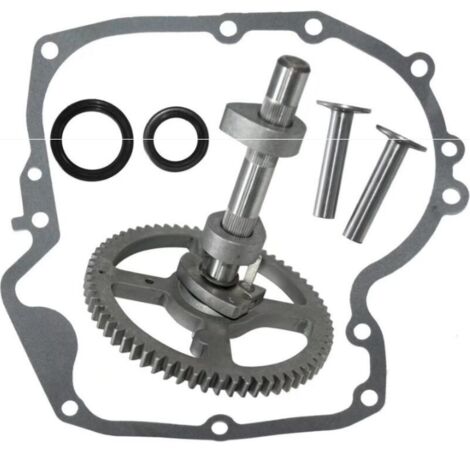 Arbres à cames Briggs & Stratton 793880 793583 792681 791942 795102 Kit de remplacement de came (1/4)