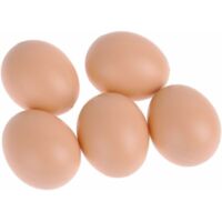 Chicken Coop Lot de 5 fausses œufs en plastique pour poules