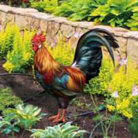 Lot De 2 Piquets De Jardin En Forme De Coq - Statues Acrylique Décoratives Pour Pelouse, Jardin - Résistants Aux Intempéries