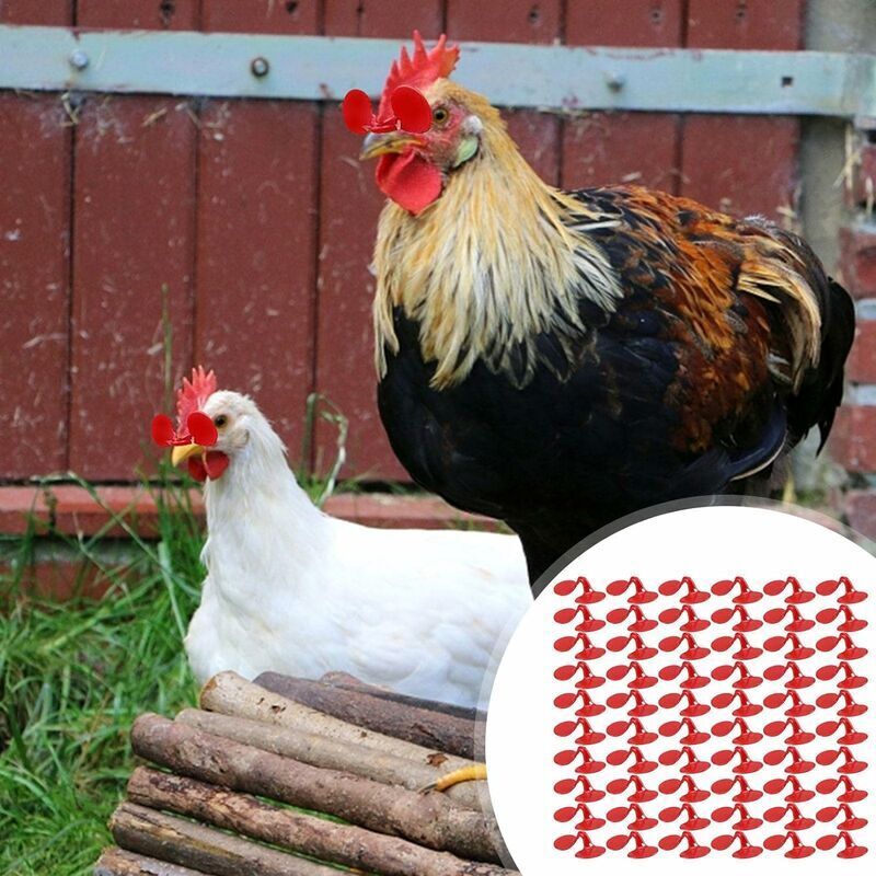 100 Lunettes Anti-Picage Rouges Pour Poules – Protection Anti-Bagarre & Cannibalisme, Installation Facile