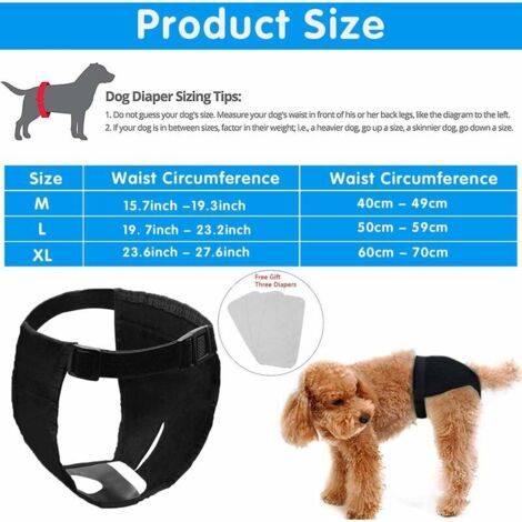Lot De 3 Culottes Réutilisables Pour Chienne En Chaleur Ou Incontinente - Taille L, Absorbantes Et Lavables - 6