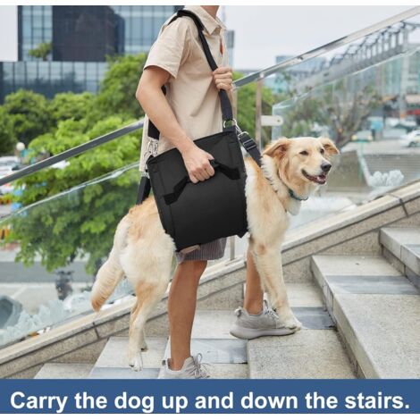 Harnais de transport pour chien, sac à dos d'urgence pour soutien