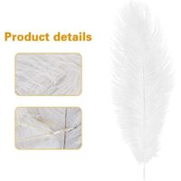 HYLYING Lot 20 Plumes D'Autruche Naturelles Blanches 40-45 Cm - Plumes Déco Mariage, Fête Gatsby, Bricolage, Halloween, Noël & Artisanat
