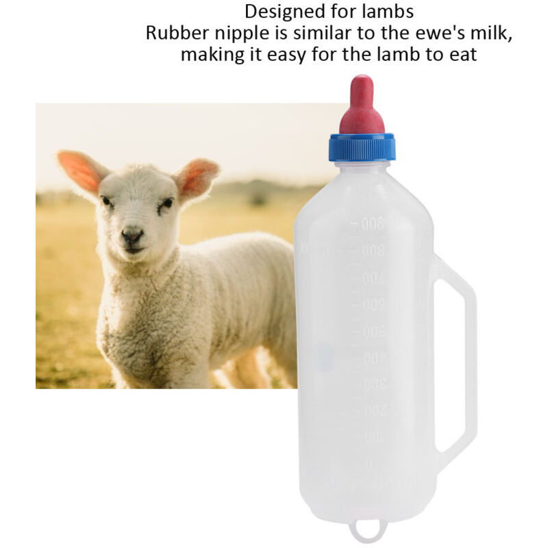 Trois petites bouteilles de lait de vache dans un pré Photo Stock - Alamy