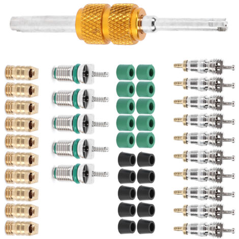 Kit Réparation Valve Sans Démontage Pneu - 5 Pièces (Tire-Valve, Cône, Valves De Rechange) Kit 5 Pièces Réparation Chambre à Air