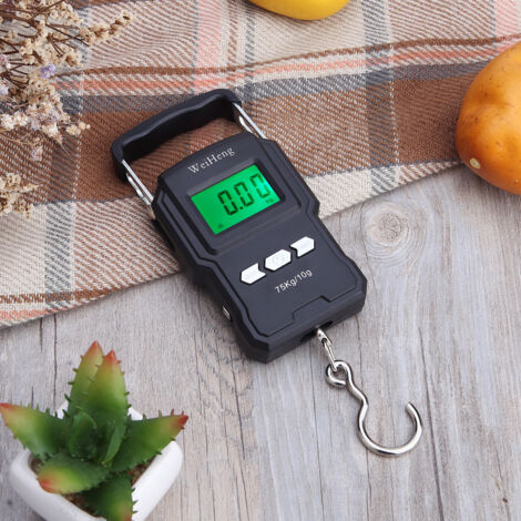 Eosnow Balance électronique rétroéclairée 75 kg/10 g, crochet de pêche numérique portable, avec ruban à mesurer
