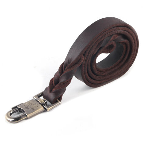 Eosnow 1 collier et laisse pour chien en cuir souple en chaîne tressée pour animaux de compagnie (2,5 x 120 cm) (1/5)