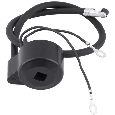 Eosnow Exigences OEM Bobine d'allumage moteur noire 29632 pour moteurs série VM H