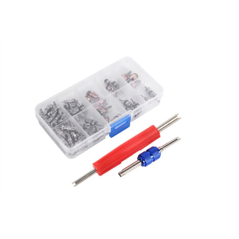 Eosnow,Assortiment de 102 pièces A/C R134a/R12, Kit d'outils pour noyaux de tige de Valve de pneu de réfrigération (1/5)