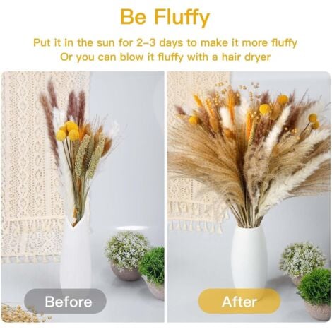 105 Pièces Pampa Séchées Naturelle Décoration Fleurs Séchées Automne Bouquet Séché Décor D'herbe