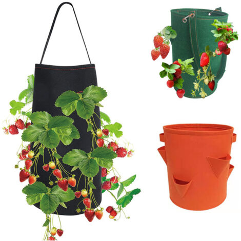 DAZZTIME Lot De 3 Sacs De Plantation Suspendus Pour Fraises - 8 Trous, Sacs De Culture Réutilisables Pour Fraises, Légumes Et Fleurs