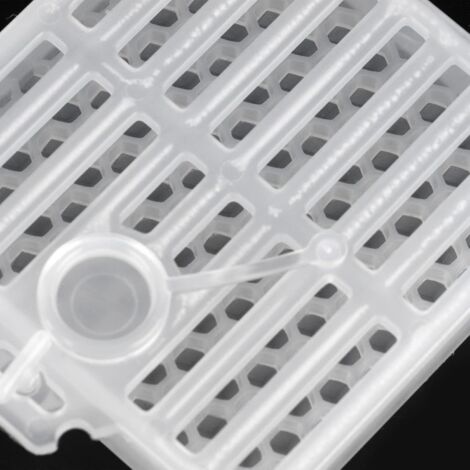 Kit D'élevage De Reines Abeilles – 10 Cages Gobelets En Plastique Jaune