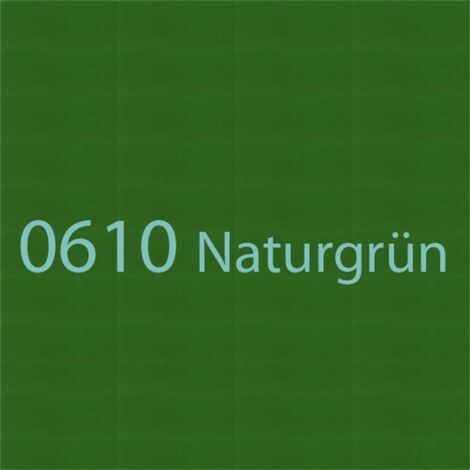 Branths Robust-Lack 0,75 l Dose, 0610 Naturgrün