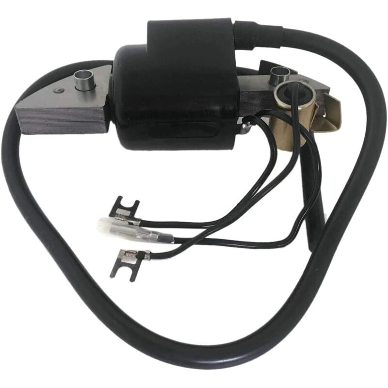 GOOFIT 18 Bobines 3 Fils Générateur Magnéto Stator Bobine D'allumage Remplacemen