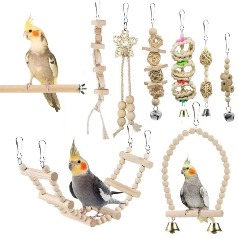 Jouet Perroquet, Jouet Perruche Jouet Oiseaux Perruches, Jouets pour