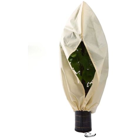 Housse hivernage pour Plantes, Housse hivernage pour Plantes, Housse d'hivernage Non tissée 140 g/m² Protection Contre Le Gel des Plantes en Palmier et Olivier (250x360cm),AAFGVC (1/5)