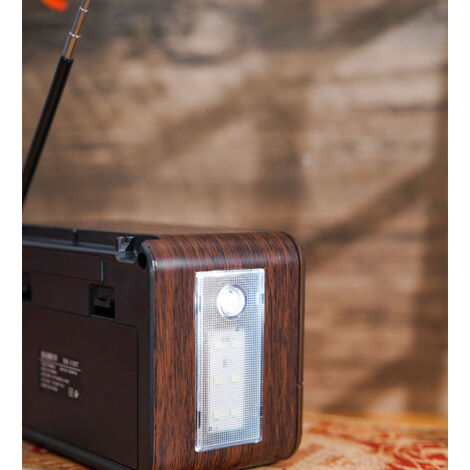 RADIO PORTABLE FM/MW Philips AE2430 / worldwide shipping EUR 49,00 - FR