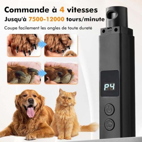 Lime à ongles électrique pour chien – 4 vitesses réglables jusqu'à 12000 tr/min – Lumière LED pour sécurité – Pour petits, moyens et grands chiens (1/5)