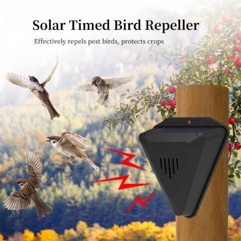 Photo inspiration: Vigilant Bird Repulsive Products Needed Reference: Alarme Répulsive Pour Oiseaux À Energie Solaire Ip55 Etanche À