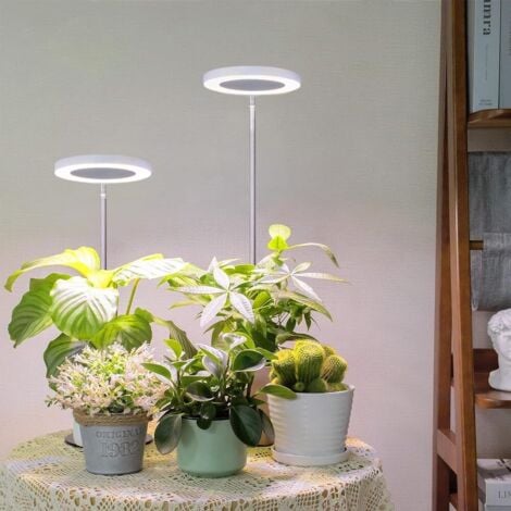 WY CN Lampe De Croissance LED à Spectre Complet 1000 W Pour Plantes D