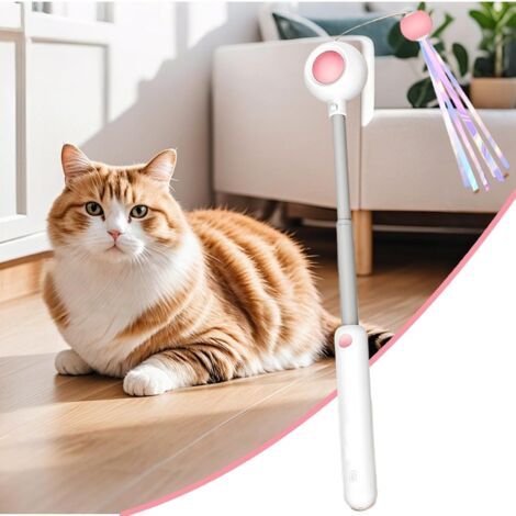 télescopique pour chat avec fixation en plumes, bâton de jeu interactif pour intérieur et extérieur, exercice et collage dans les maisons, appartements ou voyages (1/5)