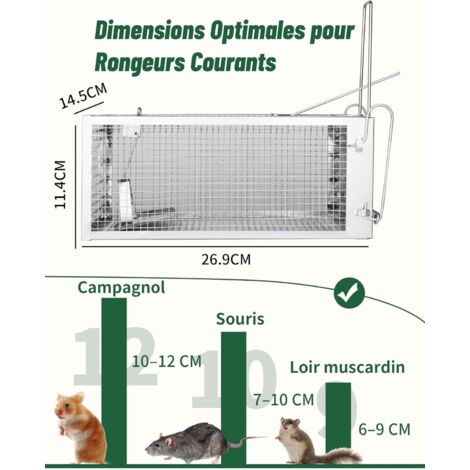 Piège à Souris Électrique OWLTRA OW-2 - Tuer Instantané Rongeurs Sans Danger Animaux Domestiques