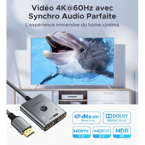 Répartiteur HDMI 1 Entrée et 2 Sorties en même temps
