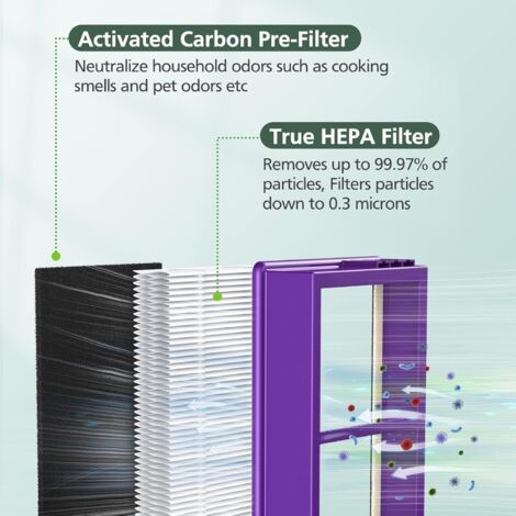 2 Filtres HEPA FLT5300 C - Compatible Purificateur Air GermGuardian Et Plus 98839616