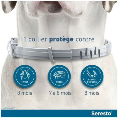 Cône Pour Chien Et Chat – Collier Anti-léchage Réglable, Respirant Et Confortable – Idéal Pour La Convalescence Après Opération