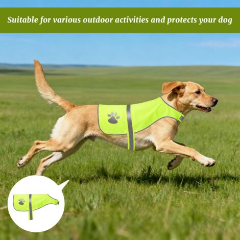 Gilet Réfléchissant Pour Chien - Fluorescent Ajustable, Haute Visibilité Pour Promenades Et Randonnées
