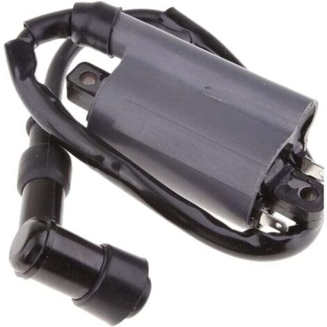 Ignition coil for Buyang 260 260cc 300cc D300 G300 engine (1/4)