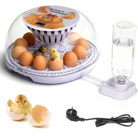 Automatic Egg Incubator for Chickens, Holds Up to 12 Eggs, Fully Automatic Egg Turning, Temperature and Humidity Control