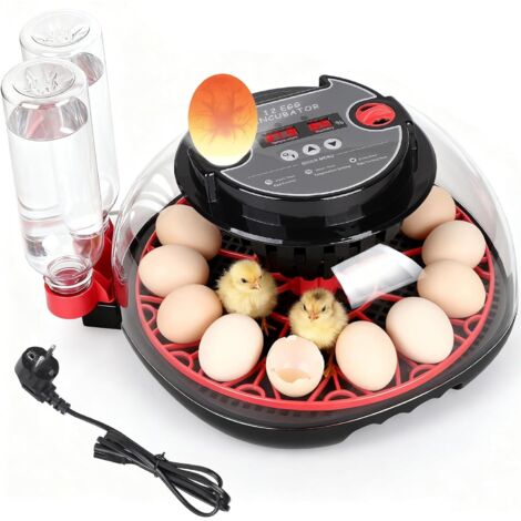 Automatic Egg Incubator for Chickens, Can Hold Up to 12 Eggs, Fully Equipped Egg Incubator with Turning, Lighting and Humidity Control.