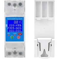 Tuya WiFi 80A Electricity Meter with Voice Control, 2P Smart Electric Meter, 80-300VAC Connected Circuit Breaker, Digital Meter, Overvoltage and Undervoltage Protection