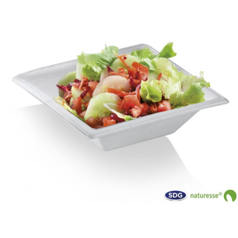 Assiette Creuse en Pulpe de Cellulose Elégance 450 ml - SDG - Lot de 500 (1/3)