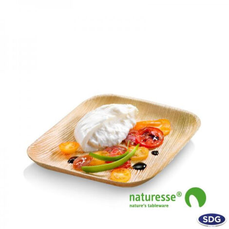 Assiette en Feuille de Palmier 23x22 cm - SDG Lot de 100 (1/3)