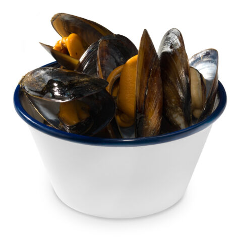 Bol Méditerranéen Mélamine Ø 12,5 cm - Pujadas (1/3)