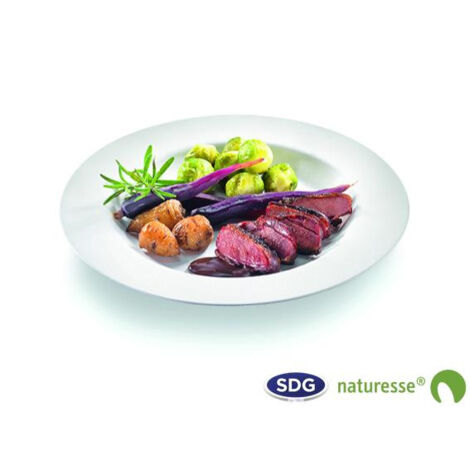 Plat Rond Pulpe de Cellulose Elégance 27 cm - SDG - Lot de 500 (1/3)