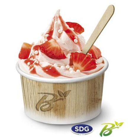 Pot de Glace en Carton Recyclable Nature 265 ml Lot de 1350 - SDG (1/3)