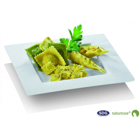 Assiette Pulpe de Cellulose Elégance 22,4x22,4 cm - SDG - Lot de 350 (1/3)