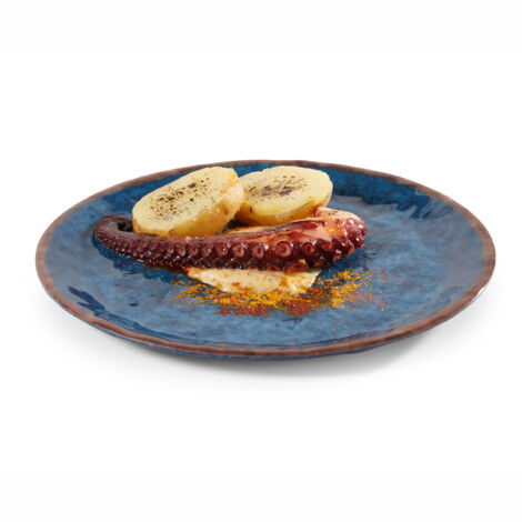 Assiette en Mélamine Bleue Ø 25 à 30 cm - Pujadas (1/3)