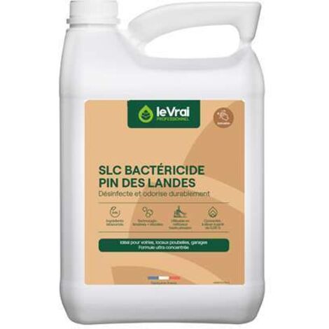 Désodorisant Désinfectant Bidon de 5L - Action Pin (1/2)