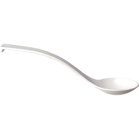 Cuillère traiteur blanche APS 230 mm - Lot de 6 (1/2)