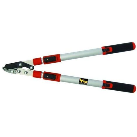 Cesoie forbice forbici taglio battente potatura potare Blinky manici telescopici