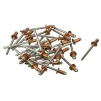 Blinky Rivetti Rame Scatole Pezzi 1000 4.8x 9mm