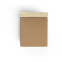 Ranforce Super King Fitted Sheet (ES) 180 x 200+30 cm 100% Cotone Marrone chiaro