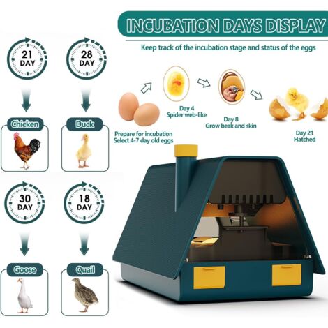 NEWFUN Couveuse Œufs Automatique 12-15 Œufs, Incubateur avec Retournement et Contrôle de Température Numérique, pour Ferme et Usage Domestique
